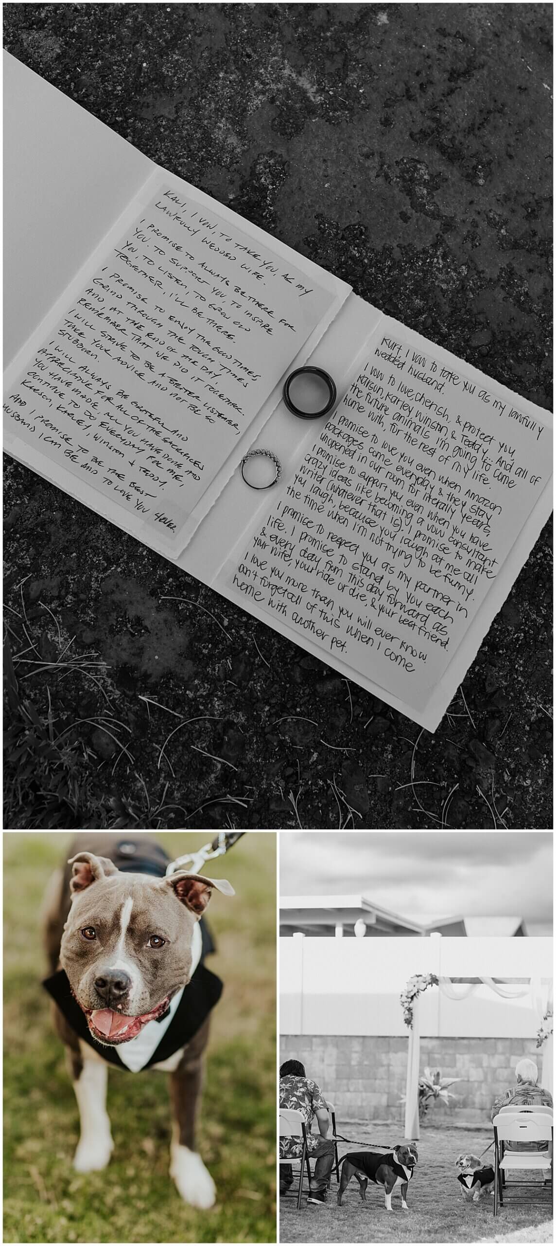 dog at ceremony with vow books and rings for pearl city backyard celebration