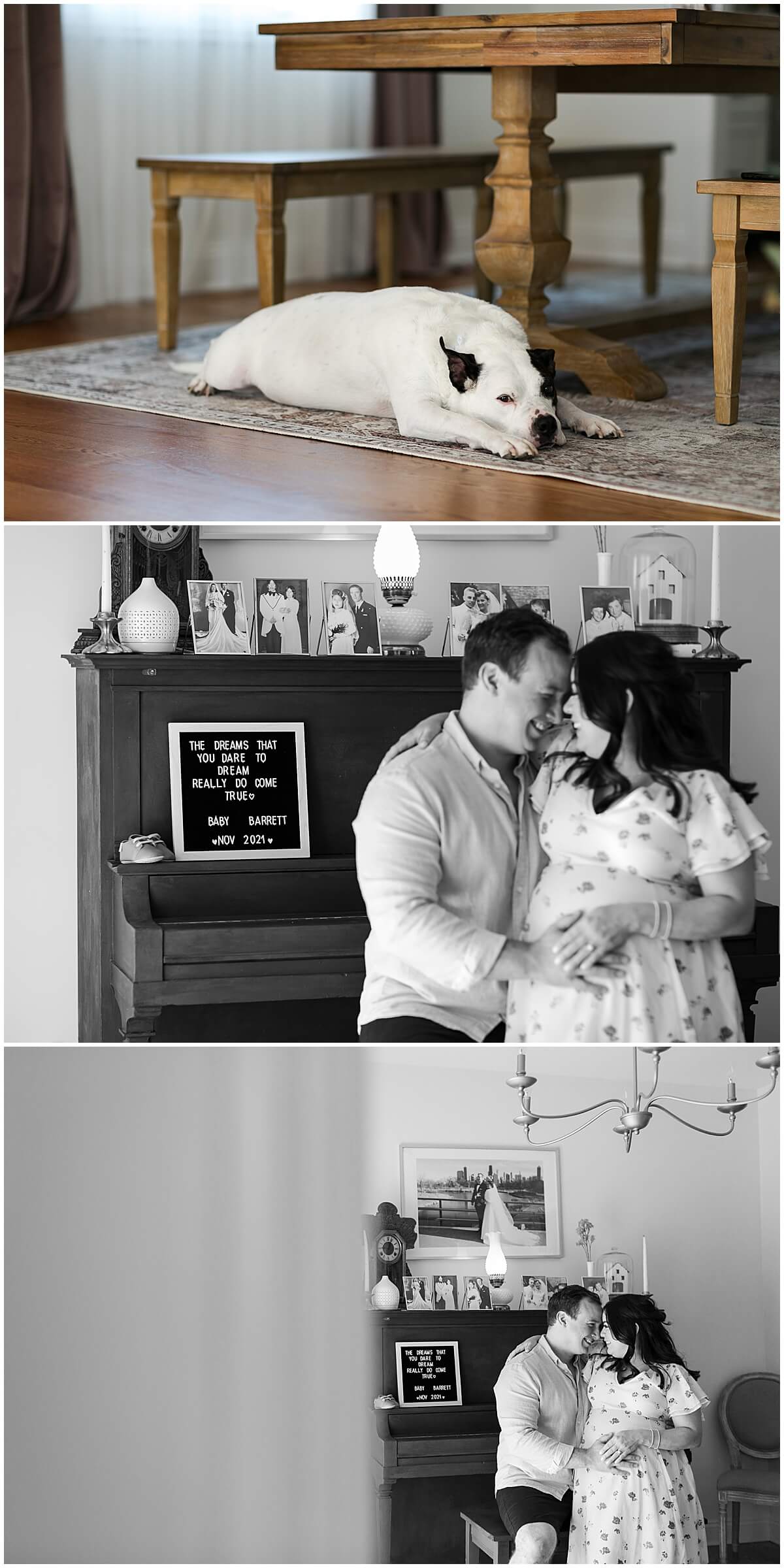 family dog laying on floor next to piano by Elle rose photo